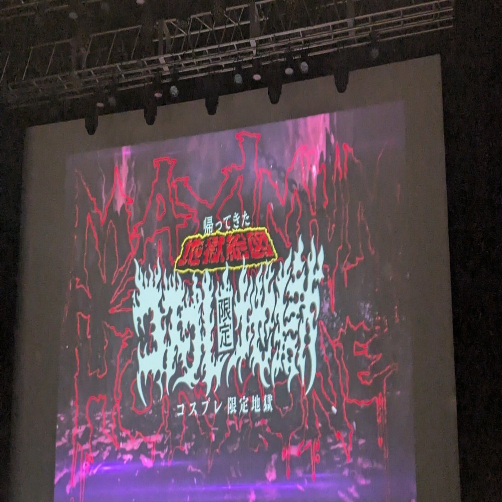 2025年11月4日 コスプレ地獄に参加した｜犬と猫