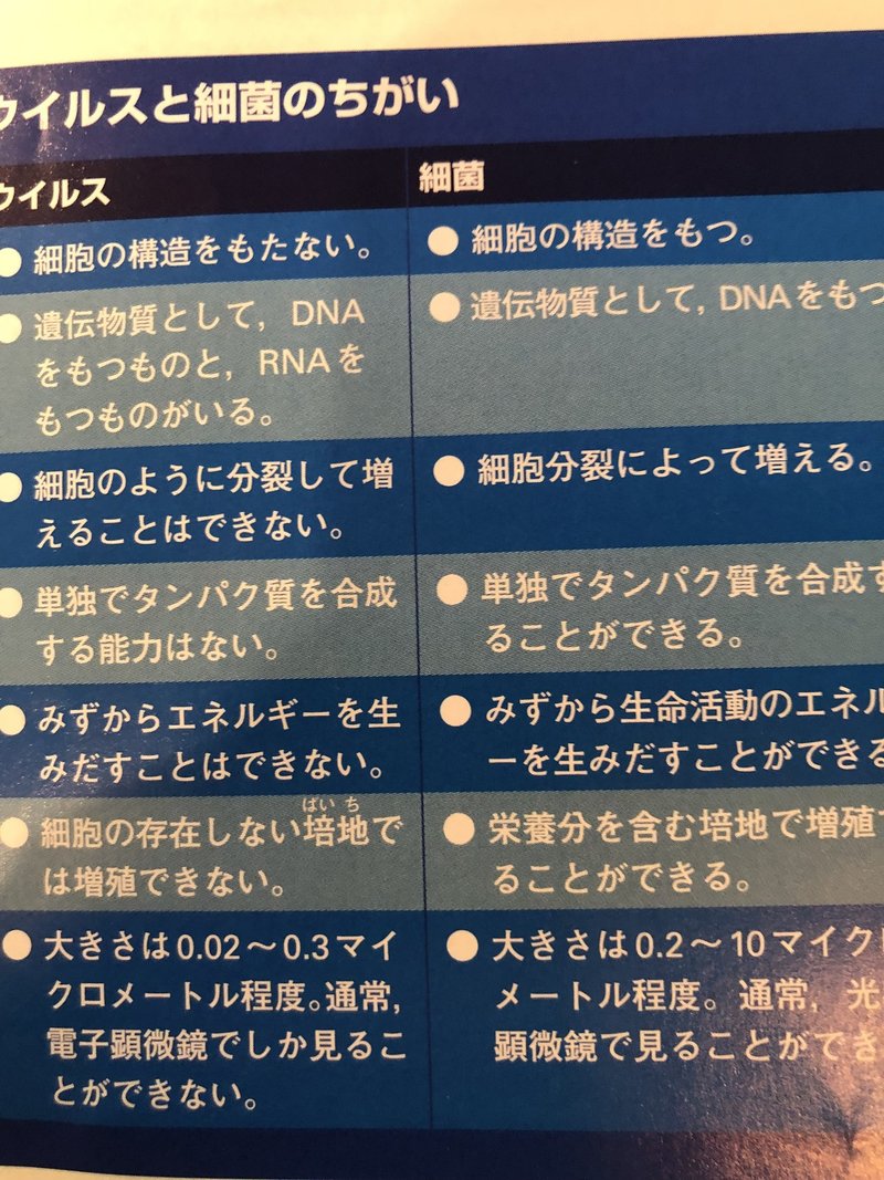 ２０２０年４月１０日　　ウイルス３