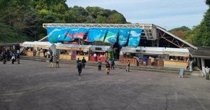 君島大空　レコード5枚セット 美品 2026年最新】君島大空の人気アイテム - メルカリ