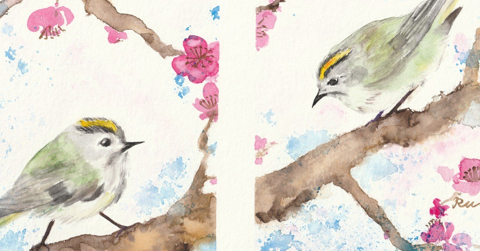 梅にキクイタダキ／新額装の話。｜KaoRu IsjDha