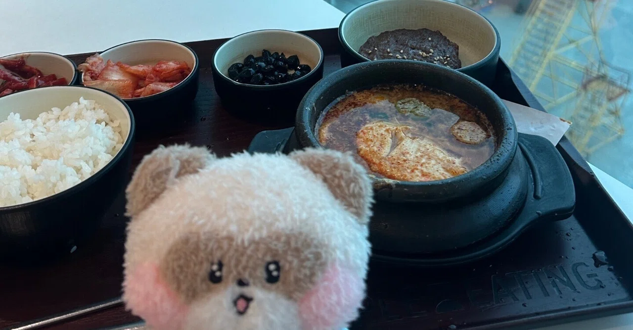 姉妹韓国旅行｜ZB1ソウルコン】④最終日飛行機大遅延 ソウル駅付近