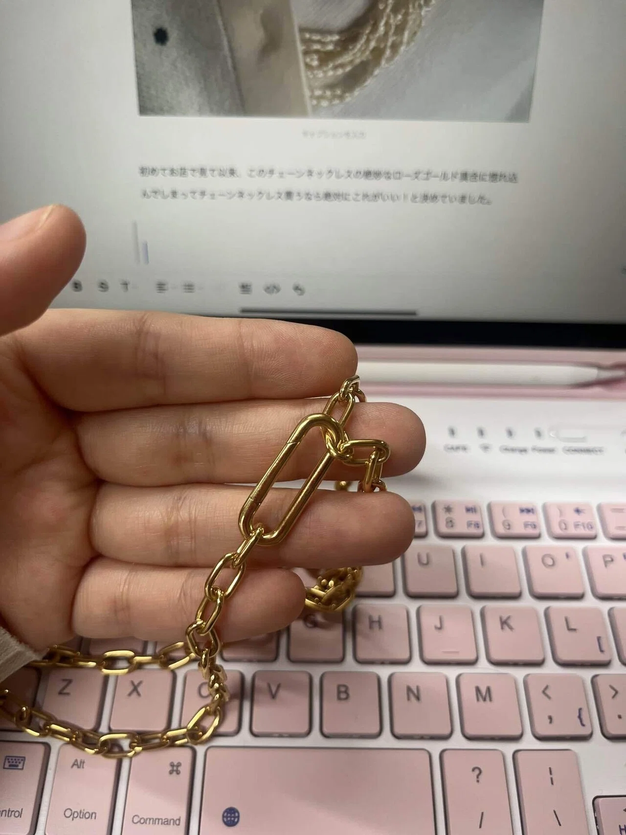 ポメラートを18回分割購入＆最近買ったもの、欲しいもの｜あつ◎まる