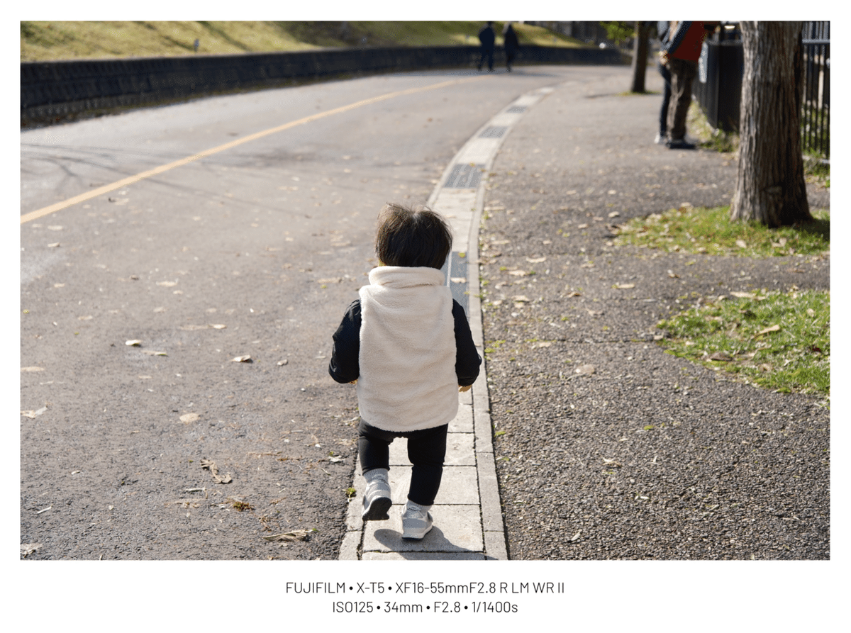 37「XF16-55mm F2.8 R LM WR Ⅱ レビュー②」｜sirokuma/photo