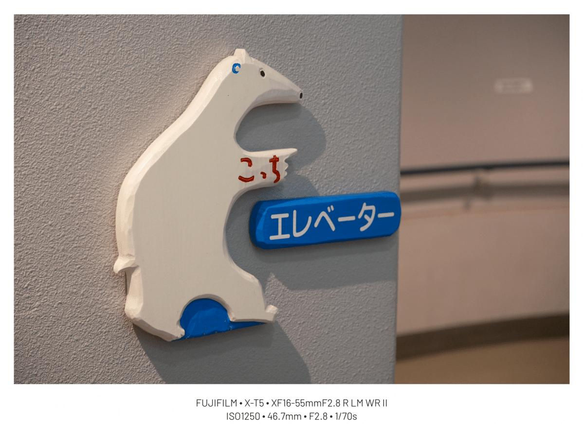 37「XF16-55mm F2.8 R LM WR Ⅱ レビュー②」｜sirokuma/photo