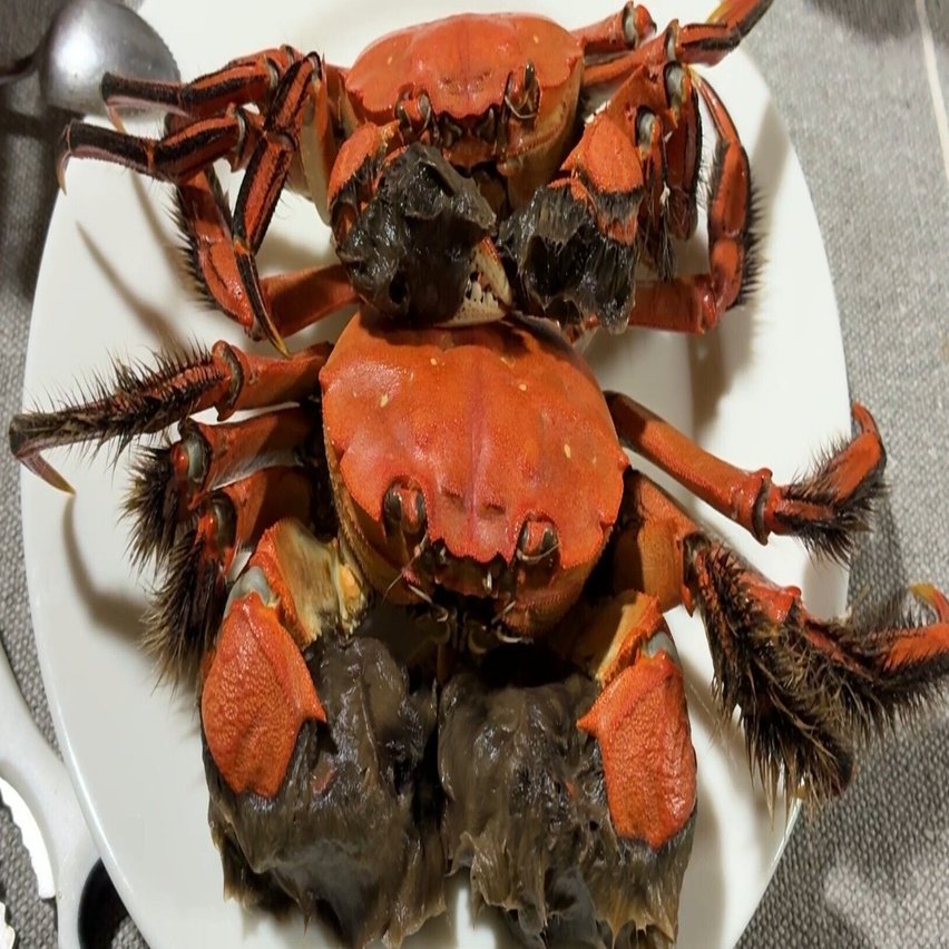 田舎メシ×中華】モクズガニでつくる「蟹黄豆腐」──地元の贅沢な秋の