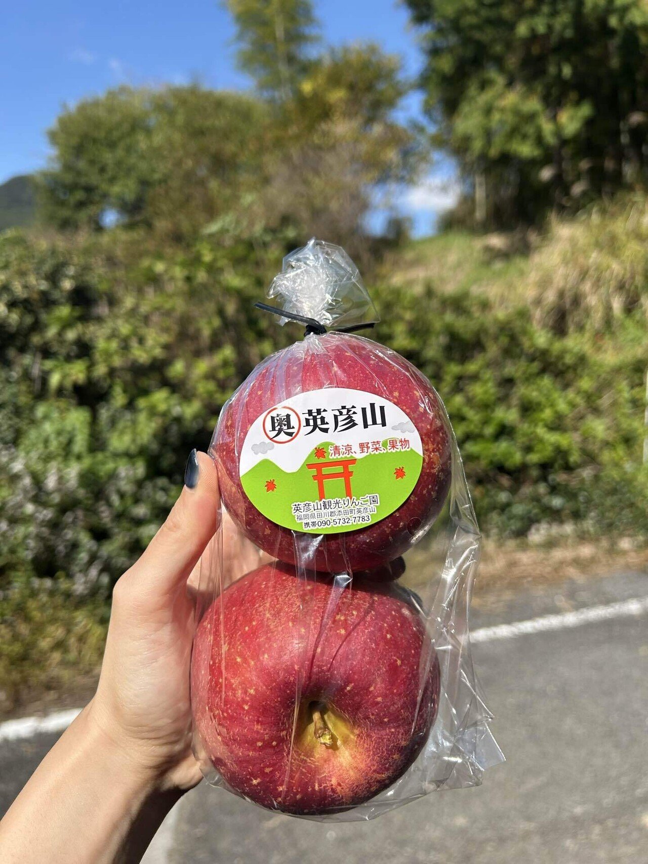 秋の味覚】英彦山観光リンゴ園に行ってきました🍎｜福岡 切り花農家