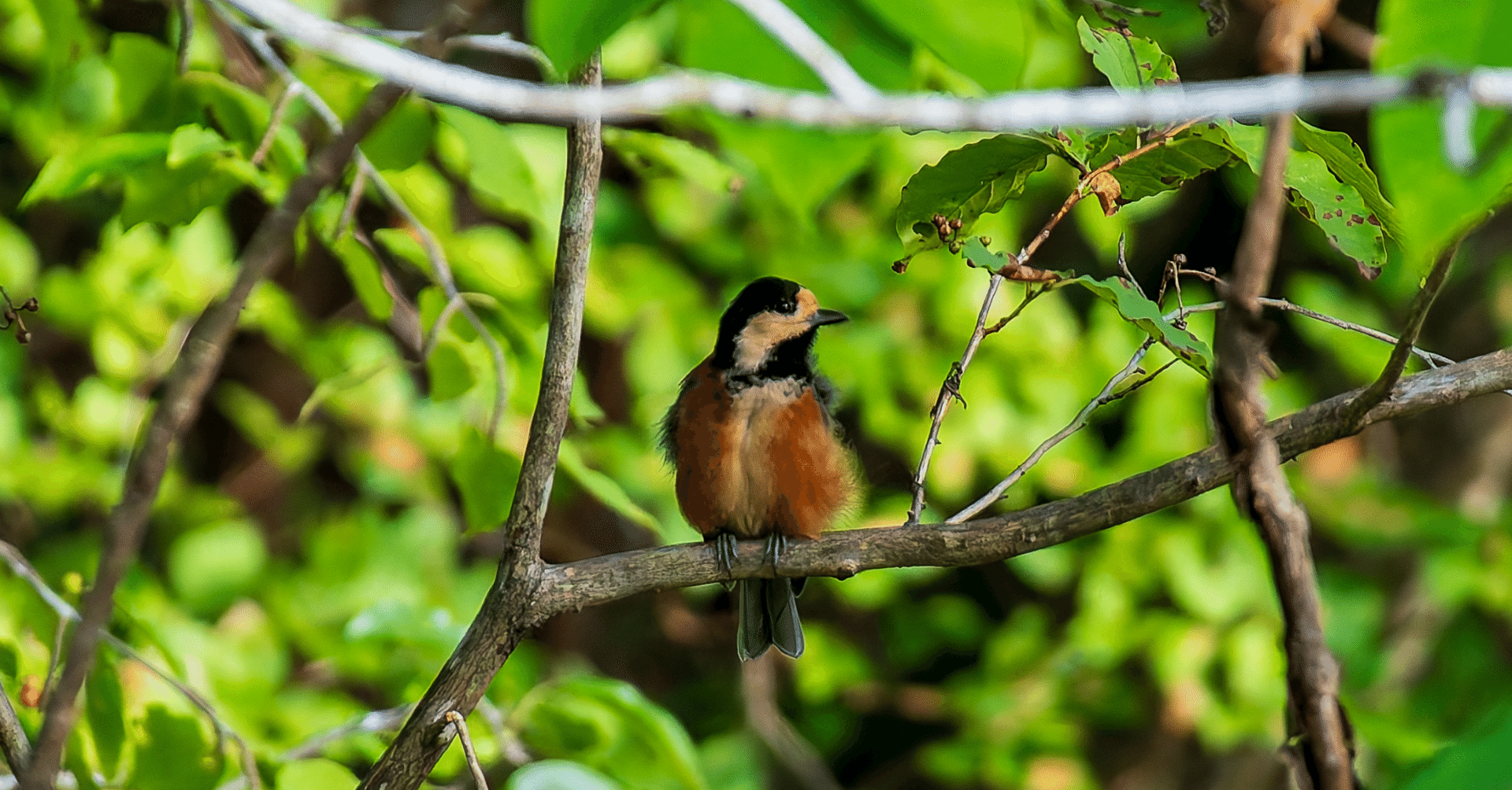 視点を増やすと、文章は深くなる──ディレクター目線でライティングを見直す｜紡／Tomomi Sugimoto