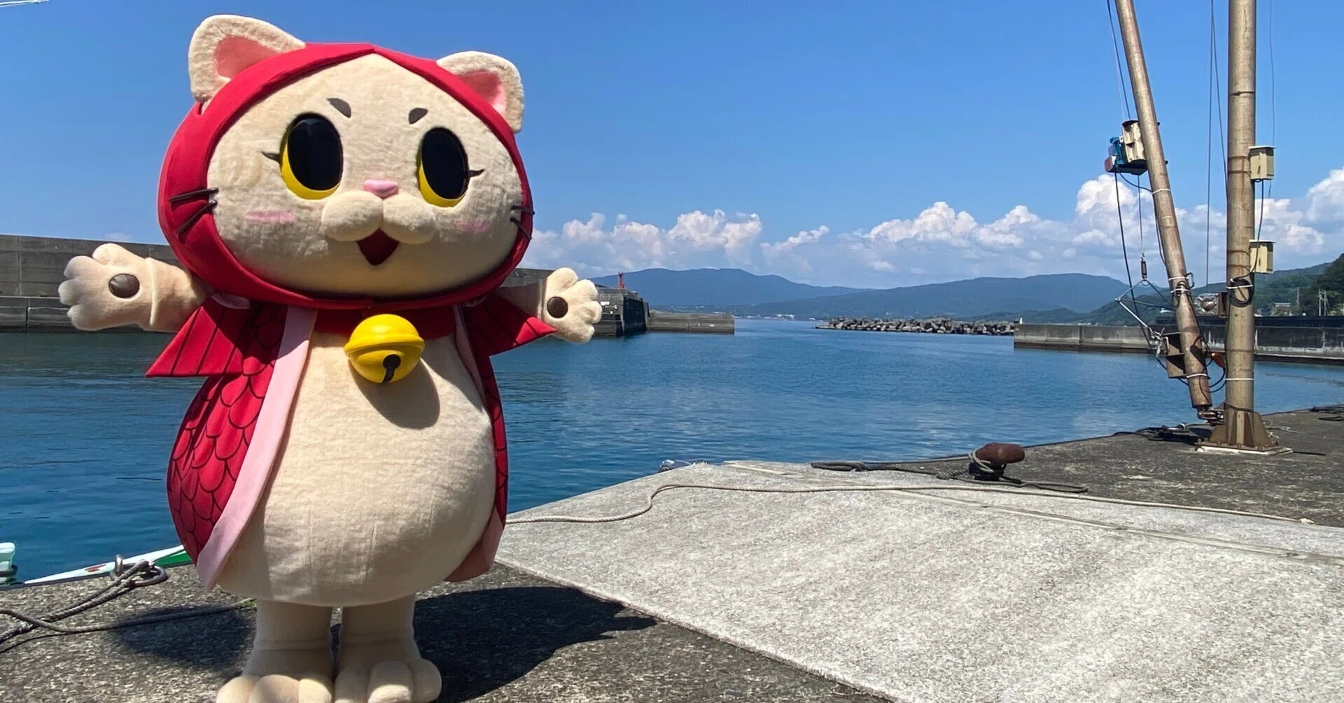 第11話「奈半利町応援キャラクターきんめにゃん」｜奈半利町公式note