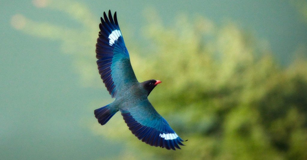 a885e6fbc9fe74465c18e188ab9edc