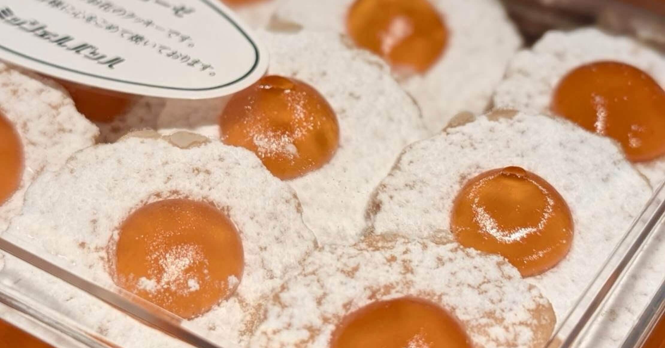 503051ec1518f0a508232bdf1c554a