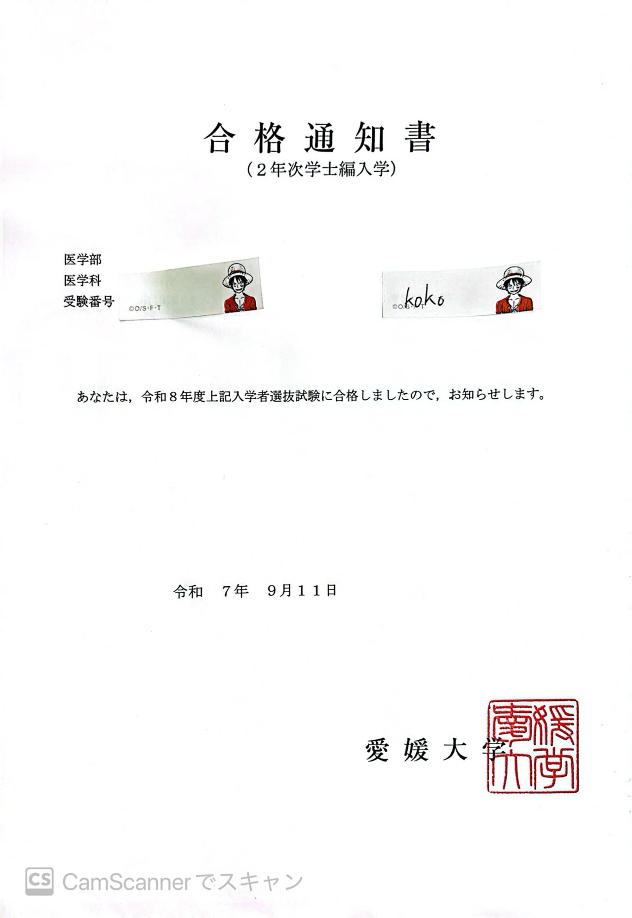 自己紹介】医学部学士編入試験体験記 koko@医学部学士編入｜koko
