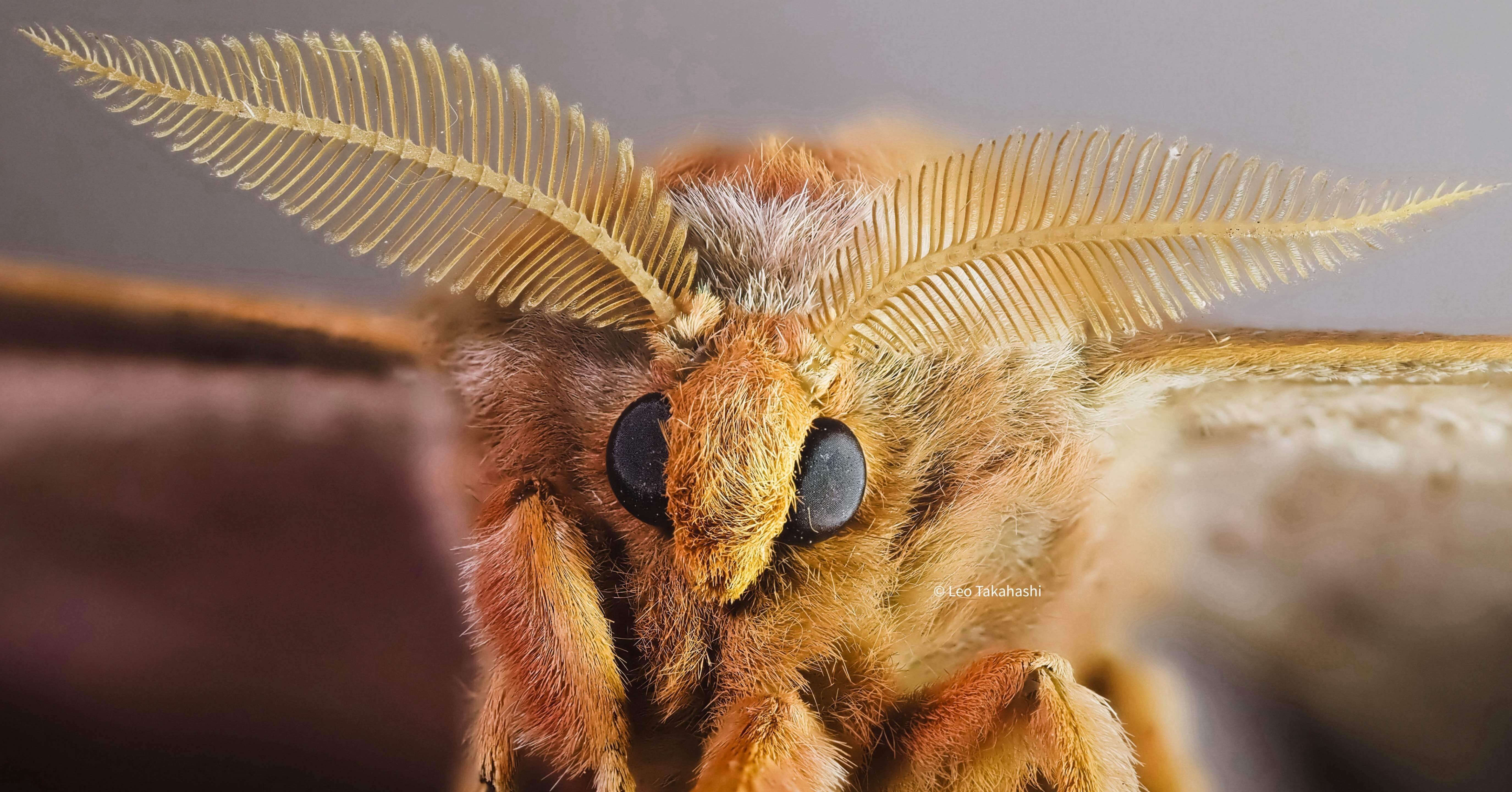 光の外で出会った秋｜高橋レオ