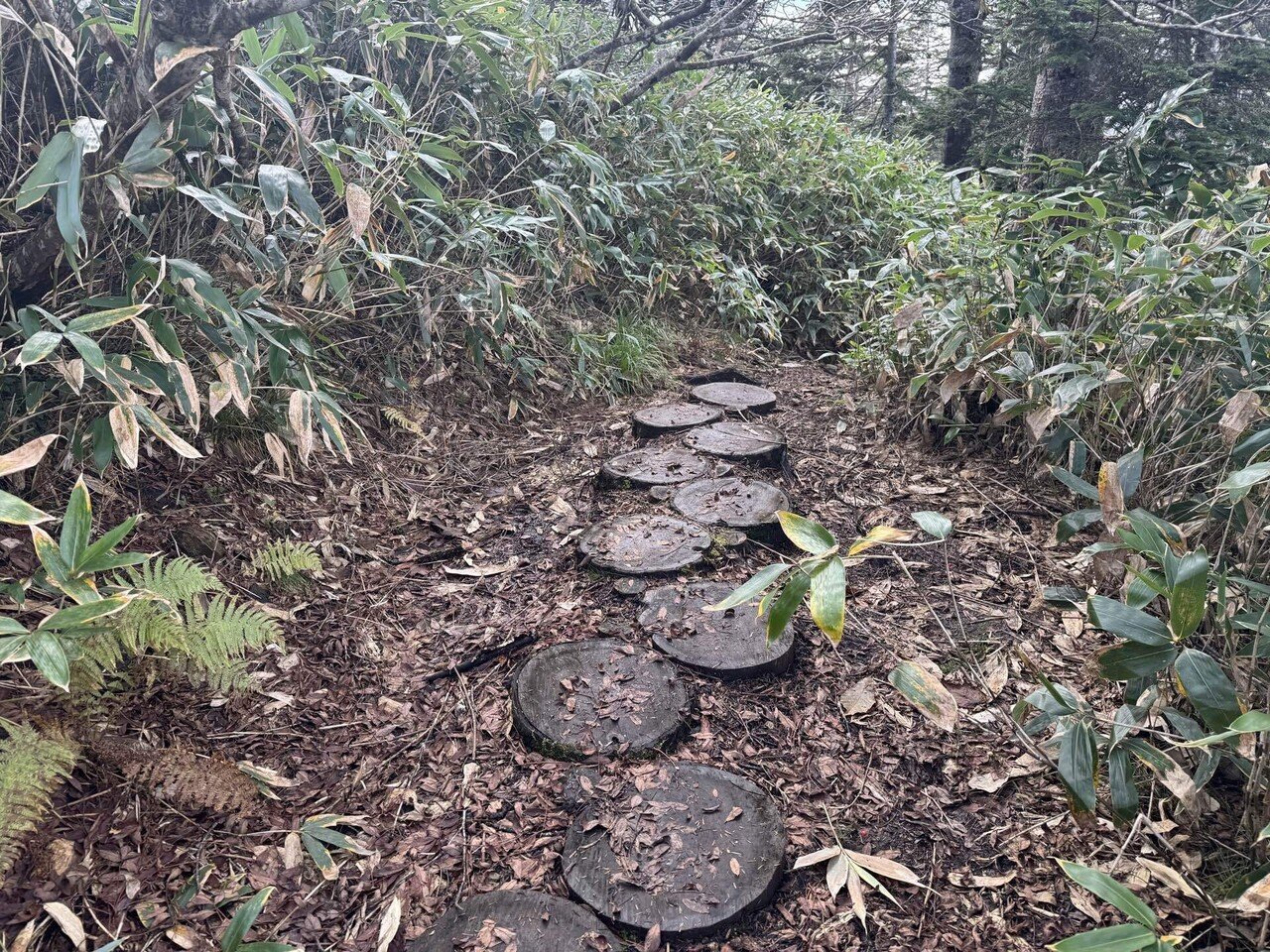 至仏山と笠ヶ岳】尾瀬で味わう百名山と静寂のぬかるみルート｜YuYa