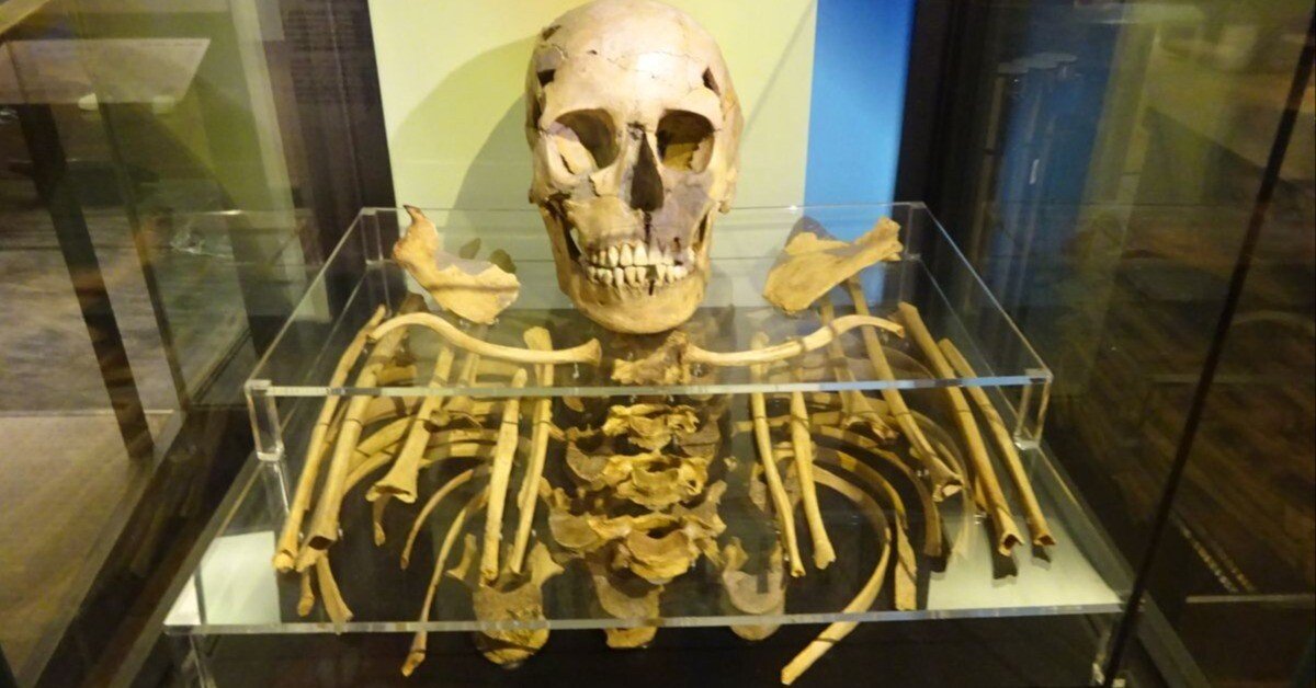 レア　繁栄崇拝物　象骨の男性原理人形　ポーパーンガン　象骨構築　魅力魅了恋愛人縁 化石を文化的視点から見る ～人骨編｜睦夢夕