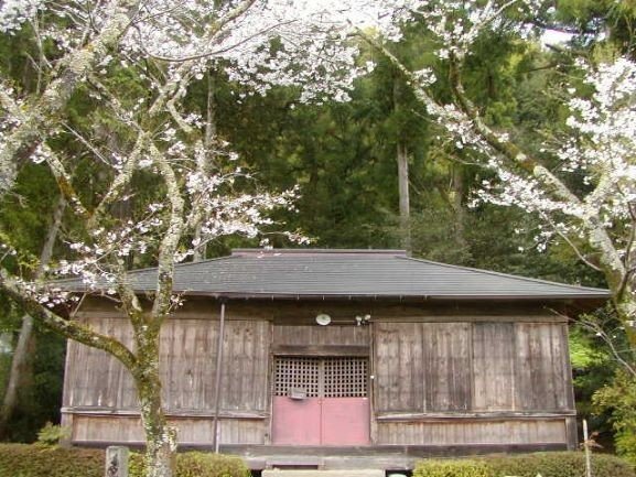 三島神社桜P4070765