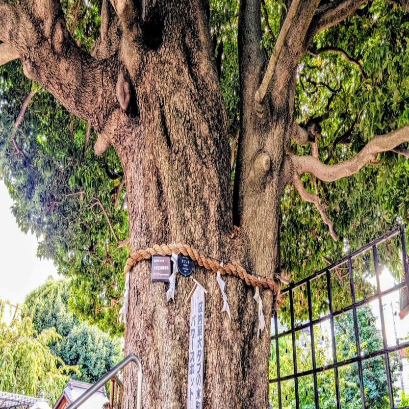 【とんちゃん】白蓮の結縁呪環・心願成就祈願 縁結びや復縁成就のパワースポット✨東京都大田区の嶺白山神社さん