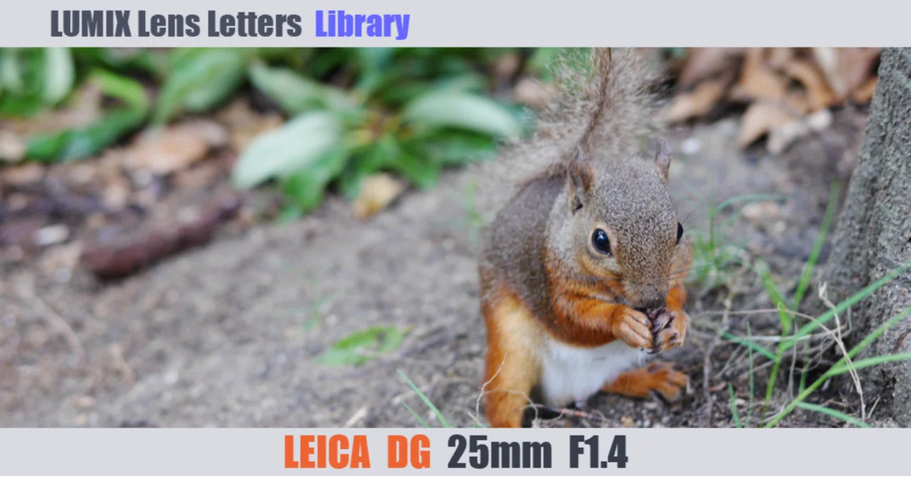 LEICA DG SUMMILUX 25mm / F1.4 II ASPH. 【Library】｜LUMIX Lens Letters