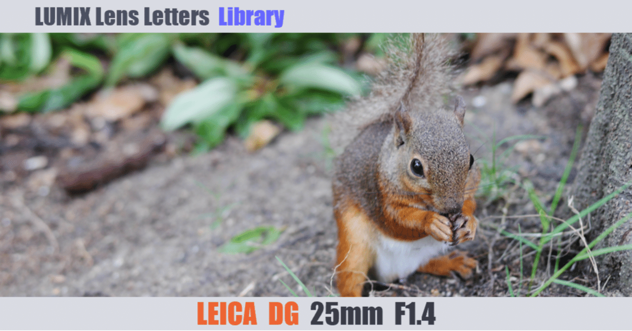 LEICA DG SUMMILUX 25mm / F1.4 II ASPH.【Library】｜LUMIX Lens Letters