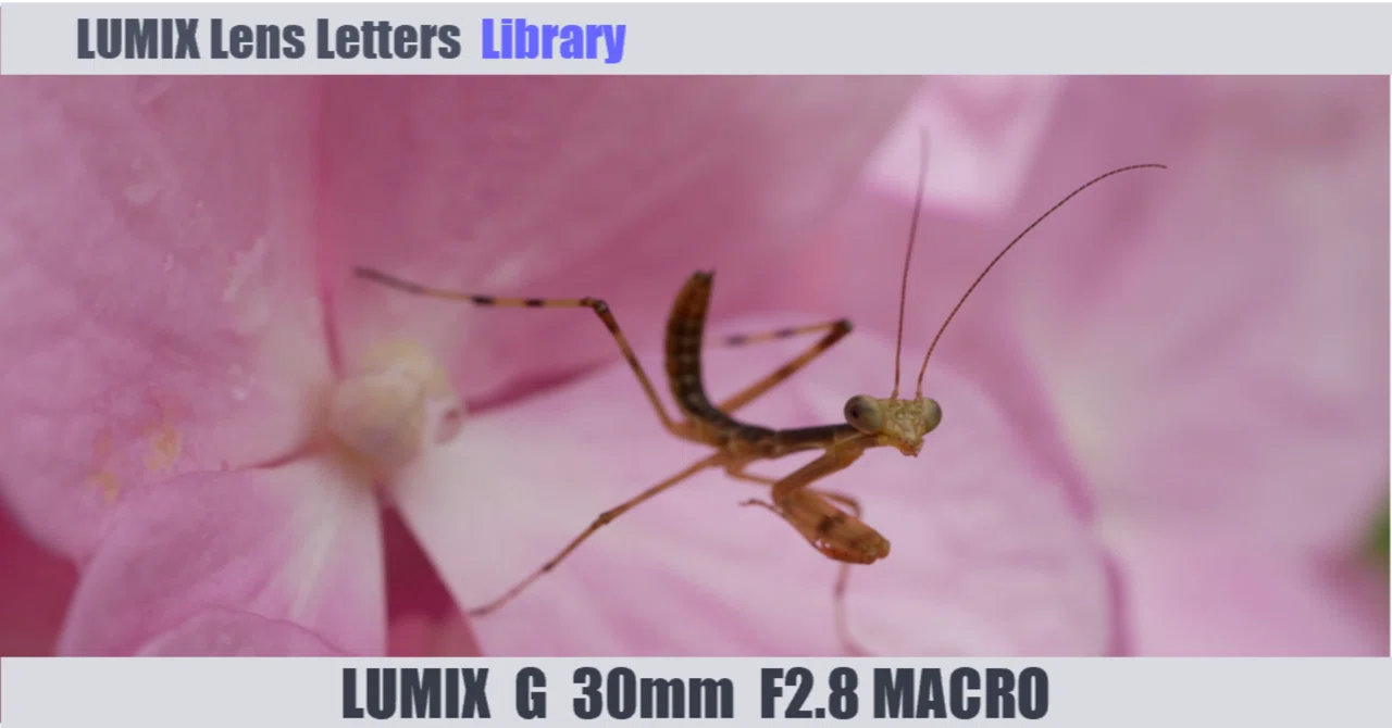 LUMIX G MACRO 30mm / F2.8 ASPH. / MEGA O.I.S. 【Library】｜LUMIX