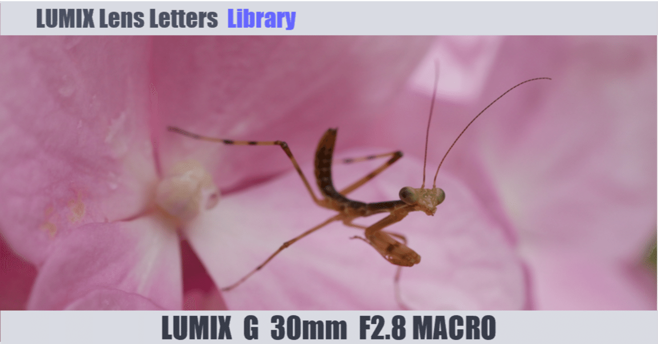 LUMIX G MACRO 30mm / F2.8 ASPH. / MEGA O.I.S.【Library】｜LUMIX