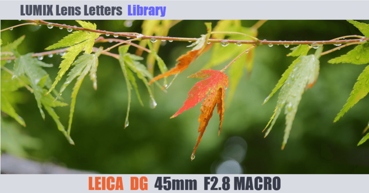 ライカ DG MACRO-ELMARIT 45mm f2.8 LUMIX マクロ Panasonic LUMIX G Series LEICA 45mm F2.8 MACRO DG MACRO