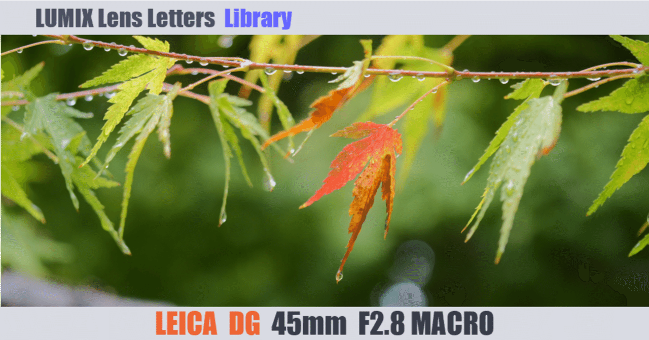 LEICA DG MACRO-ELMARIT 45mm / F2.8 ASPH. / MEGA O.I.S.【Library