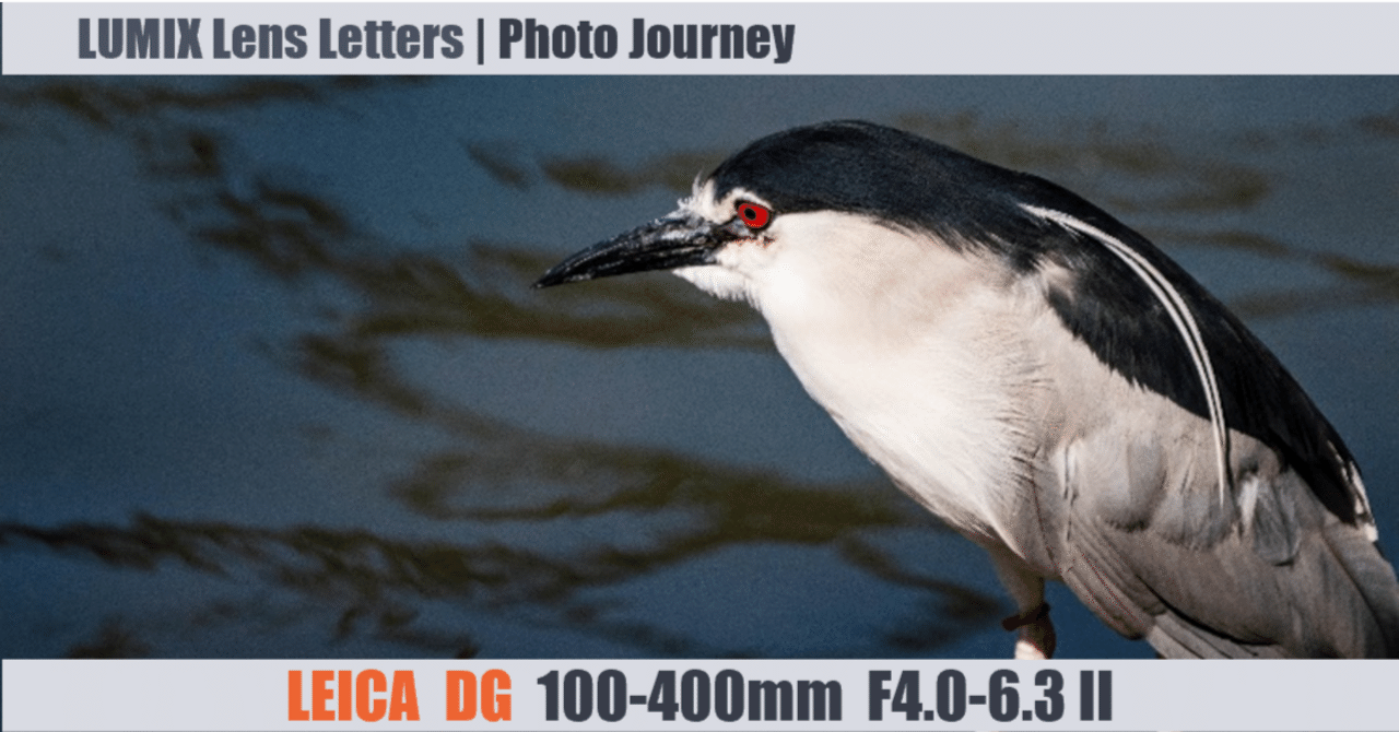 LEICA DG VARIO-ELMAR 100-400mm / F4.0-6.3 II ASPH. / POWER O.I.S.