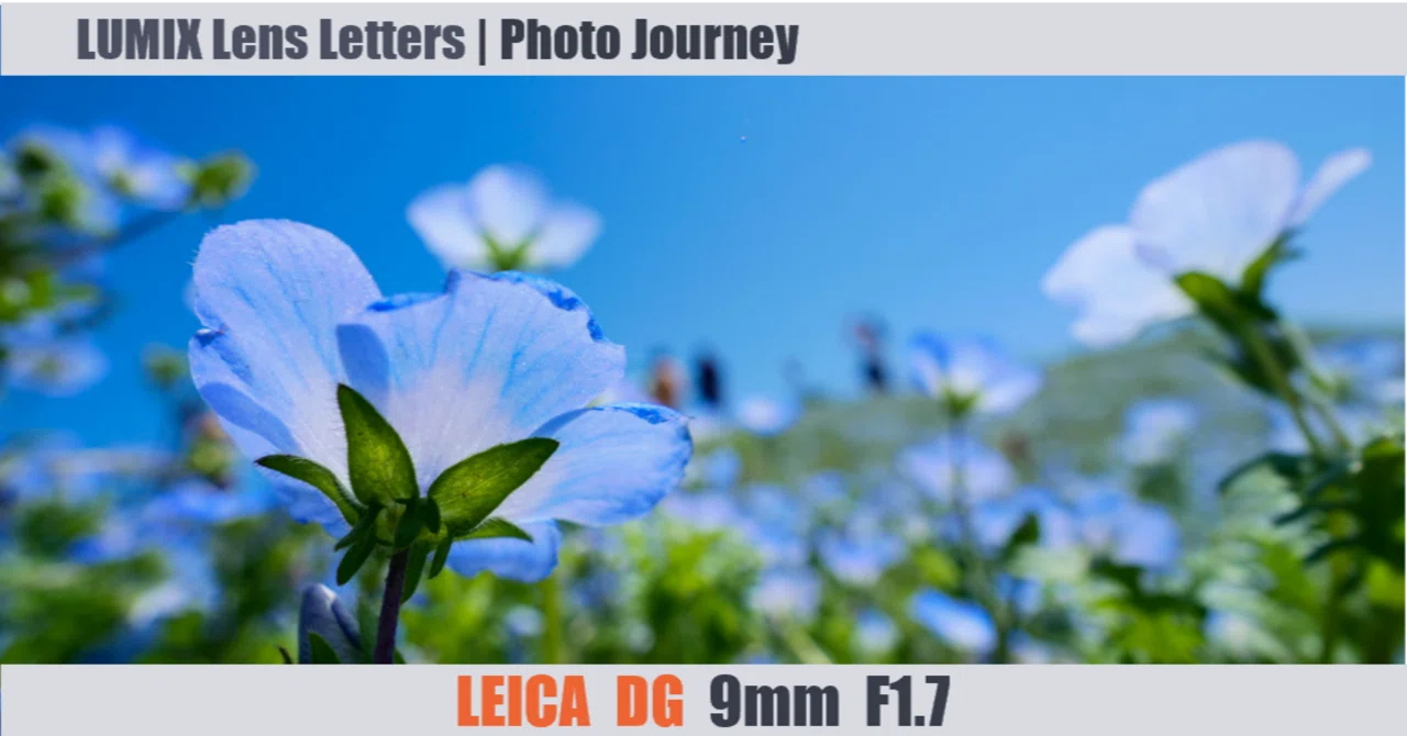 LEICA DG SUMMILUX 9mm / F1.7 ASPH. 【Photo Journey #03】｜LUMIX
