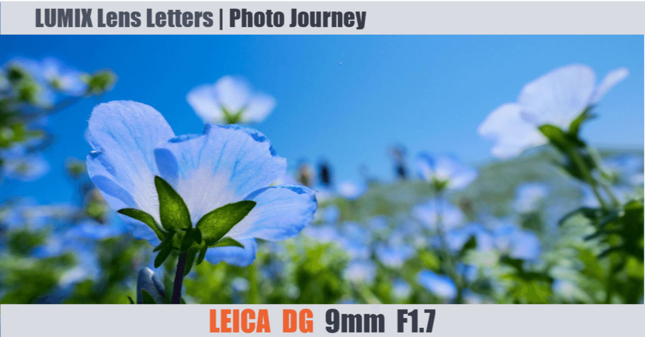 LEICA DG SUMMILUX 9mm / F1.7 ASPH.【Photo Journey #03】｜LUMIX