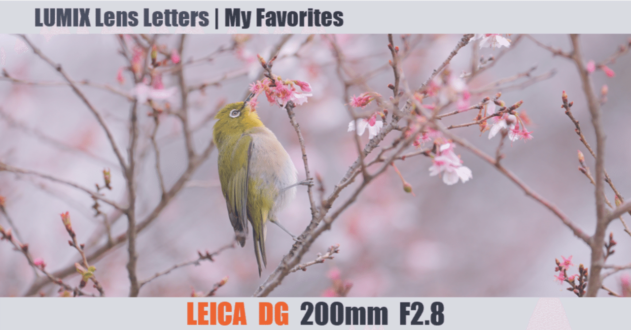 LEICA DG ELMARIT 200mm F2.8 POWER O.I.S.【My Favorites #07