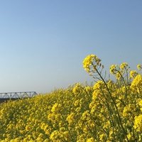 折々の漢字 問 の疑問について とんぼぎり Note 折々の漢字 問 の疑問について とんぼぎり Note