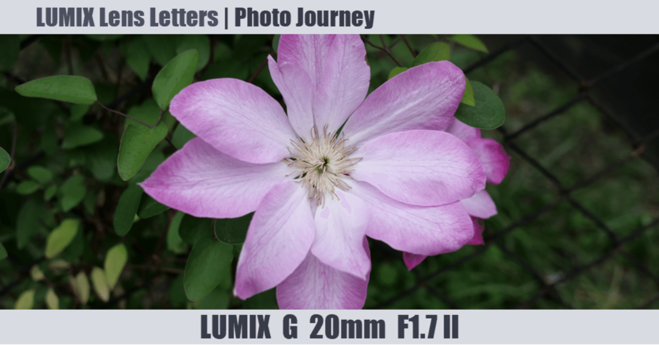 LUMIX G 20mm / F1.7 II ASPH. 【Photo Journey #11】｜LUMIX Lens Letters