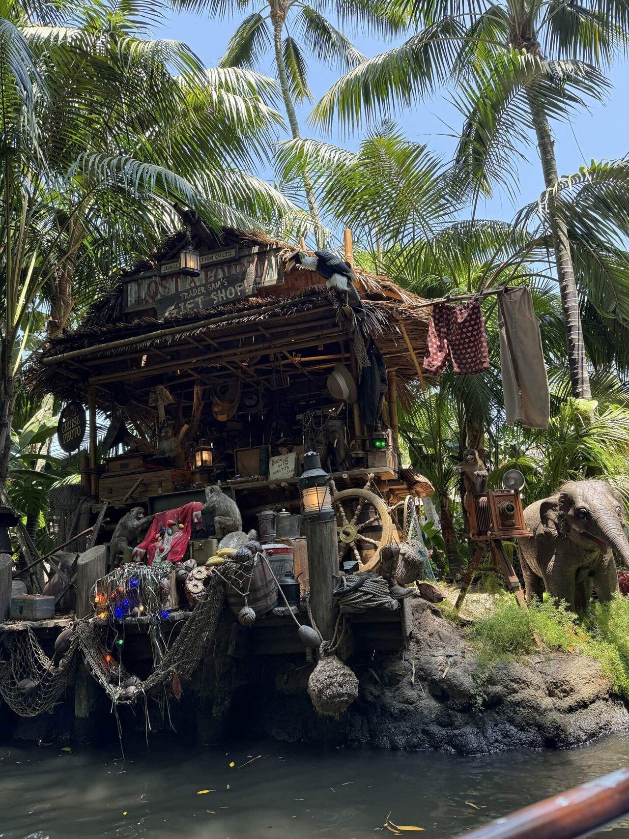 25年7月アナハイムディズニー】4日目｜ディズニーと旅行に溺れたsummer