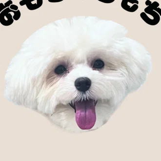 yamo │ やりたいことが多すぎる人