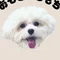 yamo │ やりたいことが多すぎる人