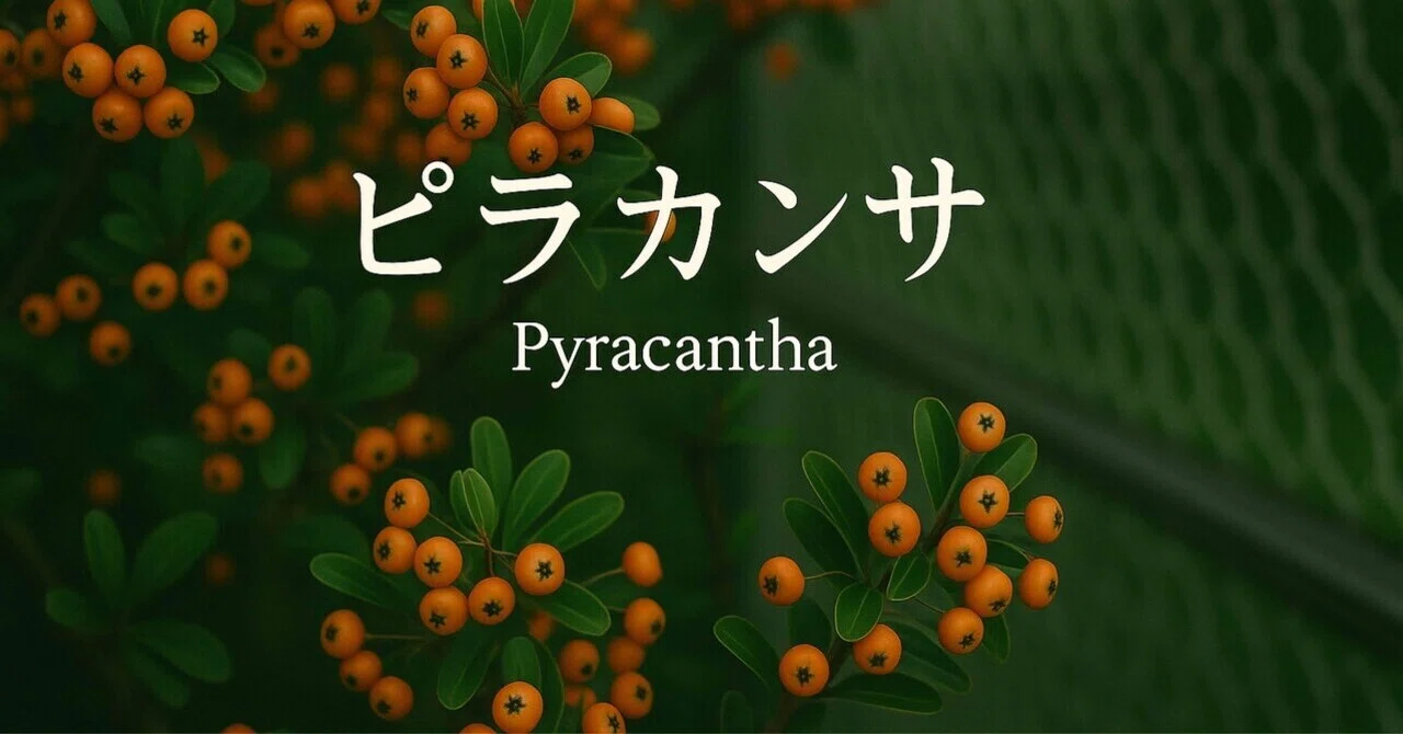 小説『植物図鑑』―花と実と記憶の短編集― 【No.1】ピラカンサ｜嘉出堂 圭太