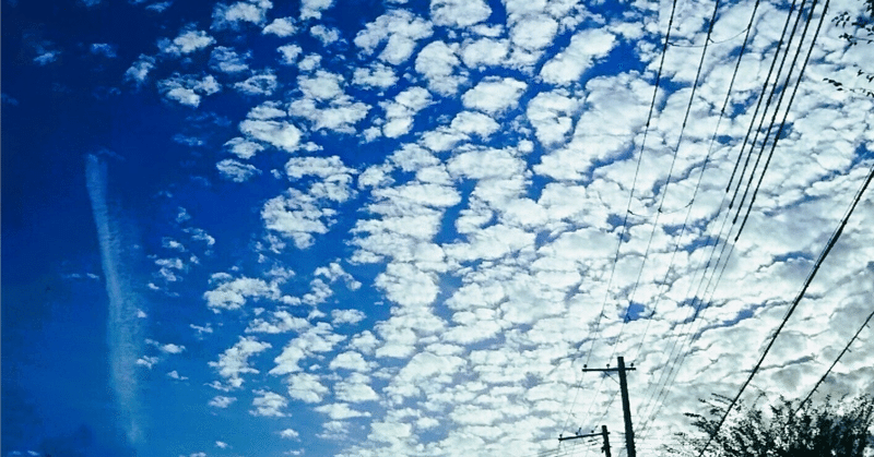 地震がおきたら「やるべきこと」5選