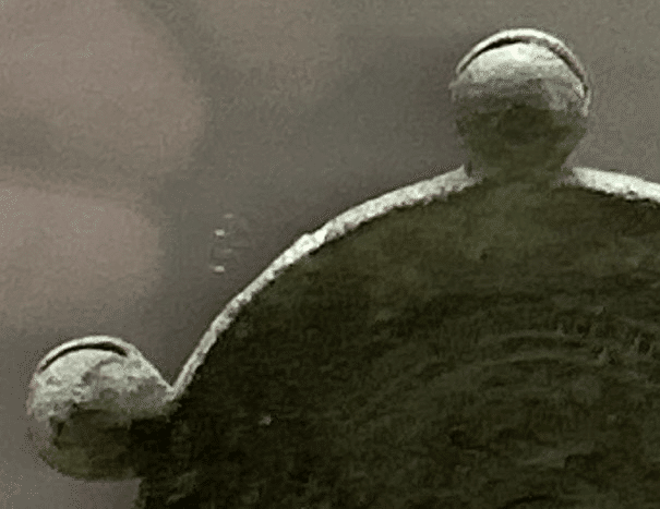 毎日美術⭐︎鈴がついているなんて、かわいい！｜もちもち