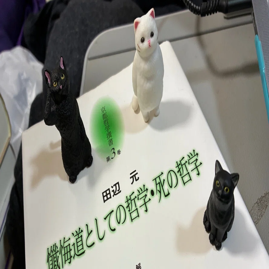 野生人類学・2撰【洞窟のなかの心、野生の科学】講談社 【公式通販】
