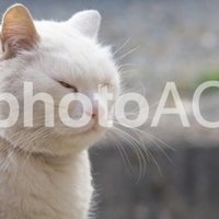 常温で放置していたそうめん食べたら蕁麻疹出た話 くてち Note