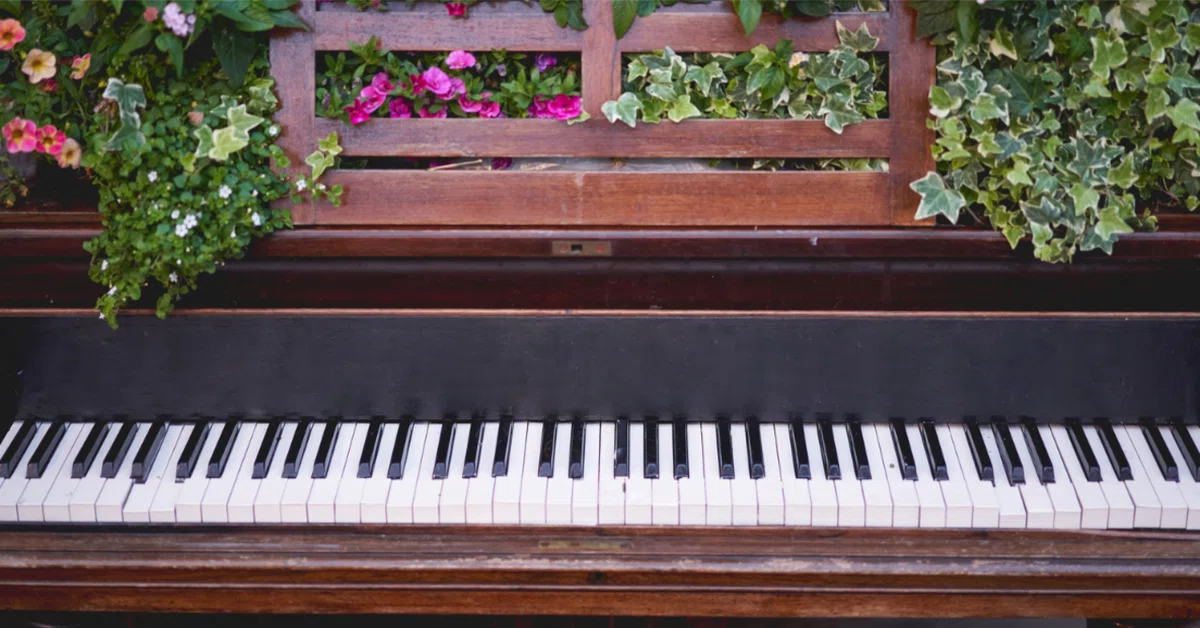 藤井風さん「花」練習3日目〜いつかストリートピアノを弾きたい🎹🎶〜｜ねこちゃん