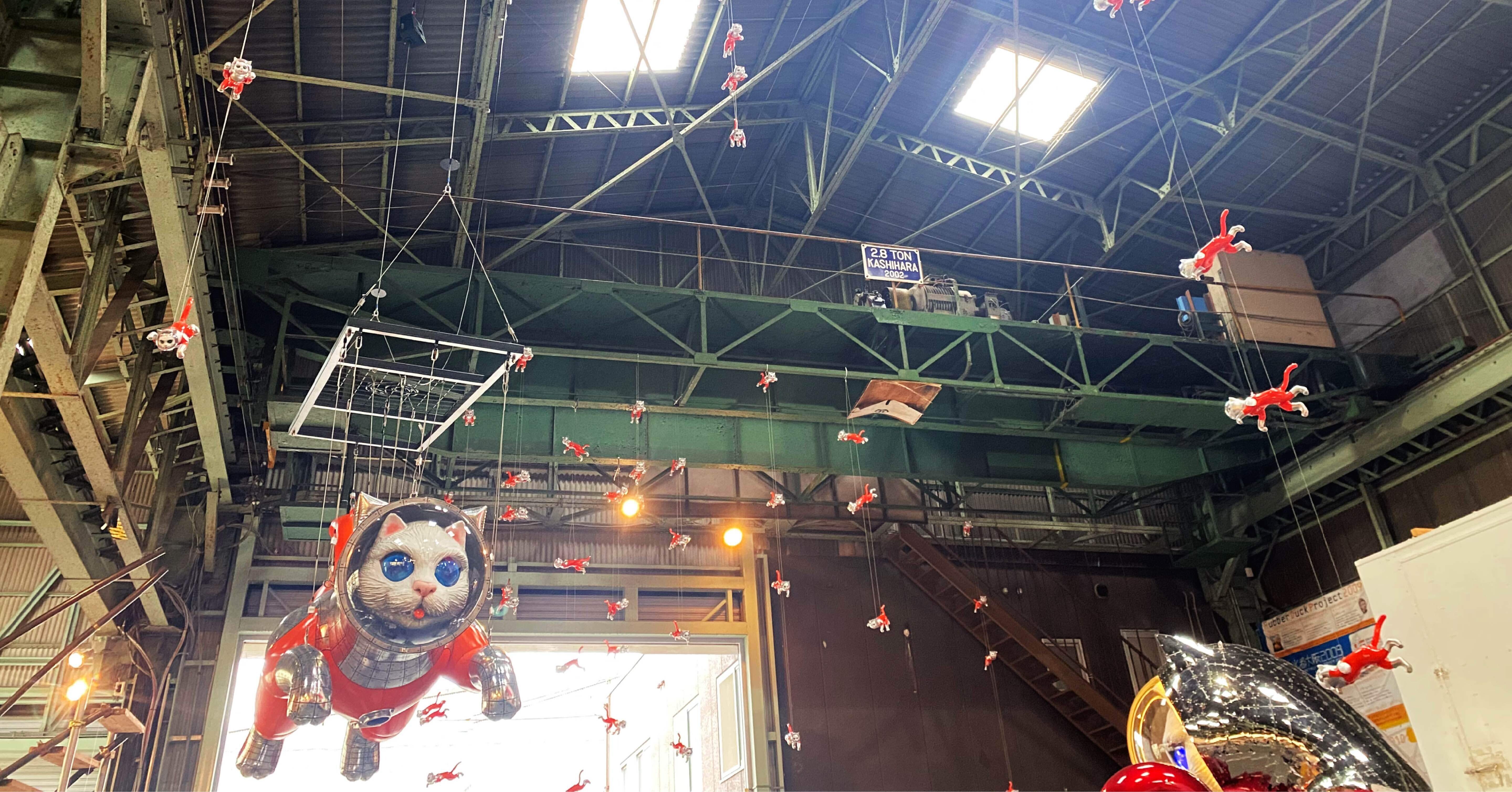 大阪に宇宙猫が…？行きます。｜こなと