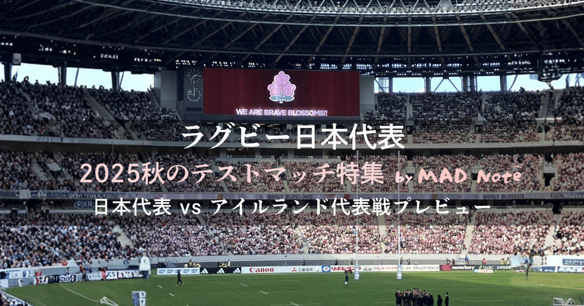 2025秋テストマッチ：ラグビー日本代表vsアイルランド代表プレビュー