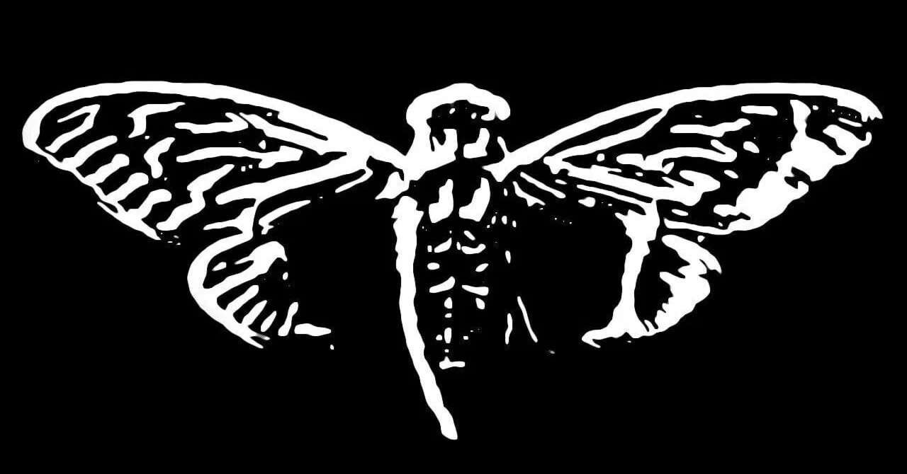 Cicada 3301：「素数は神聖なり」暗号技術でセミは認証する｜みわ中小