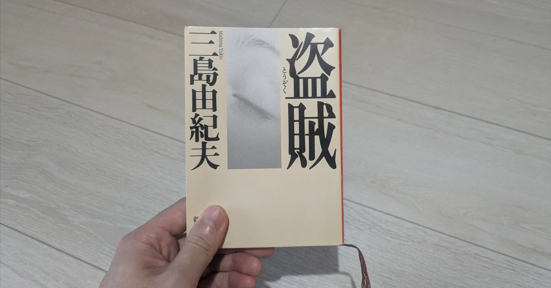 批評修行前史 #3｜三島由紀夫『盗賊』を読んで｜迷々亭
