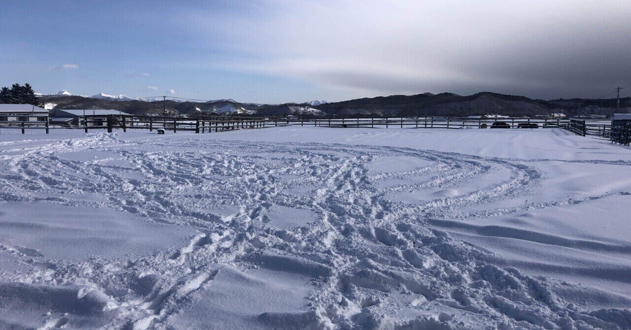 馬の世界に入るつもりなく、馬の仕事を始めてみることにした eyecatch