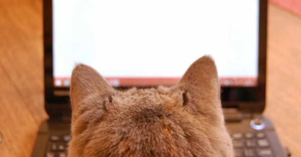 のぞきみzoom まどか観劇記録 11 60 よこやままどか Note