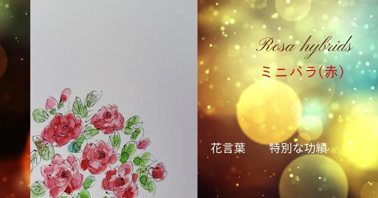Mini Rose (Red) November 7th Flower Illustration: Drawing in 5 Minutes ...