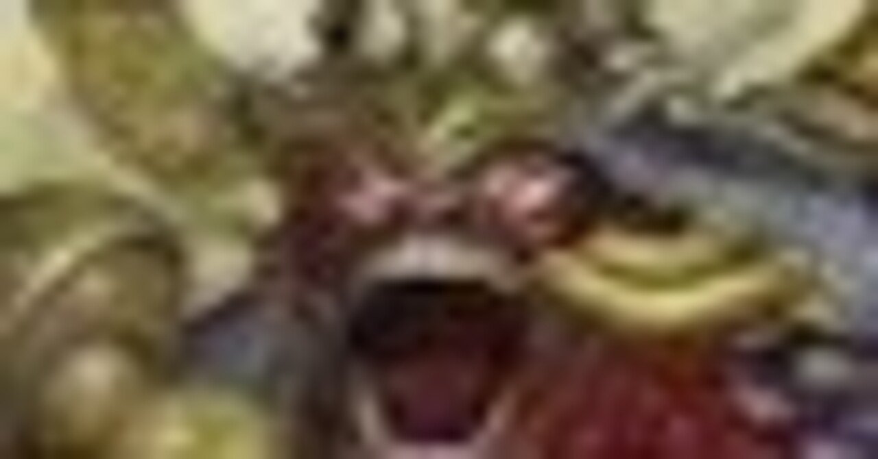 ボックス争奪戦に〜神帝、完成せり〜のデッキで参加しました｜アイス