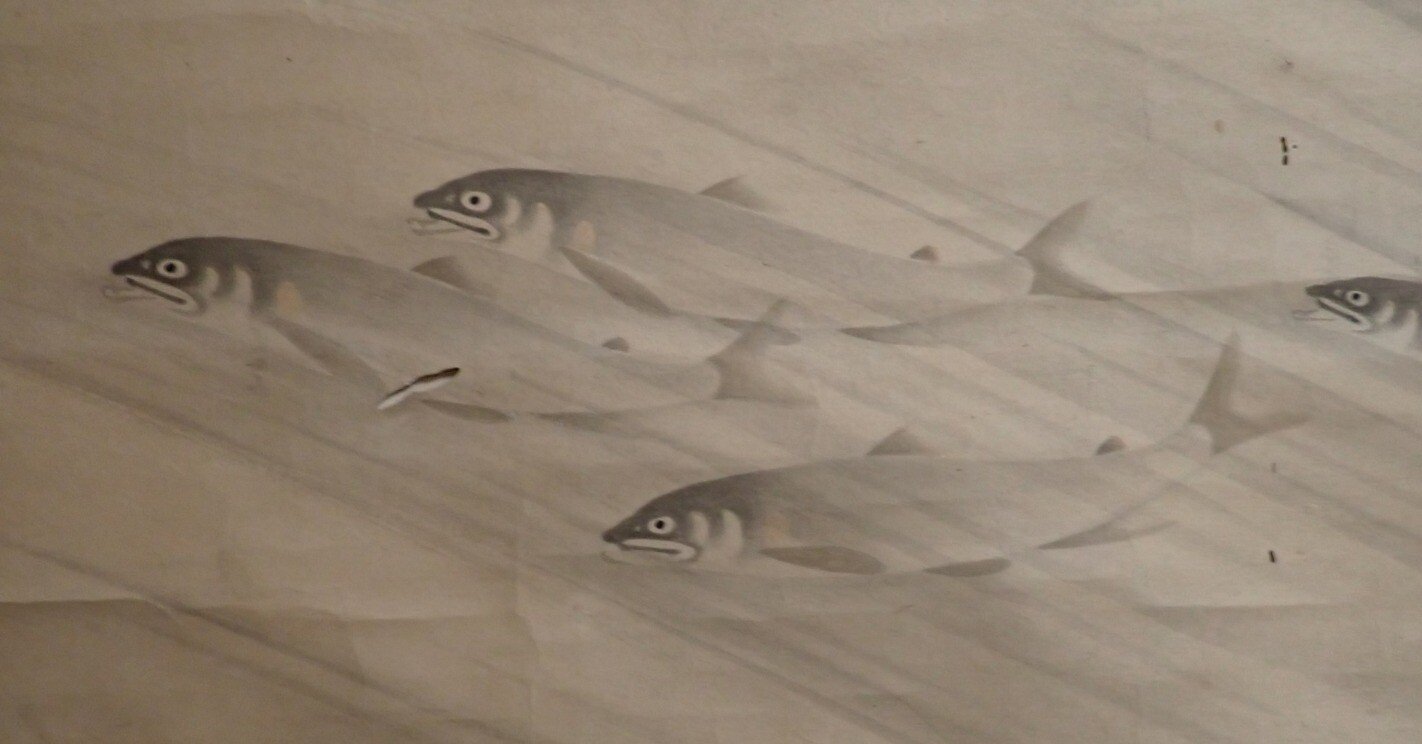 鮎図 春東応（高田敬輔の門下生？）｜マンガン